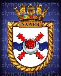 HMS Napier Magnet